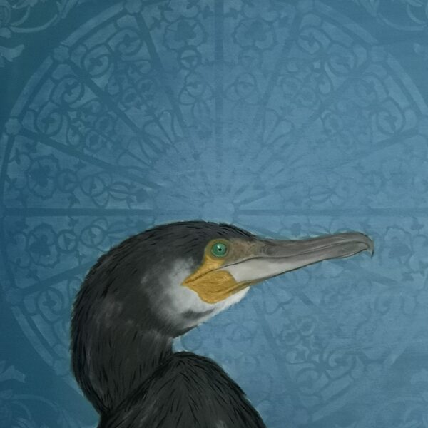 Kormoran