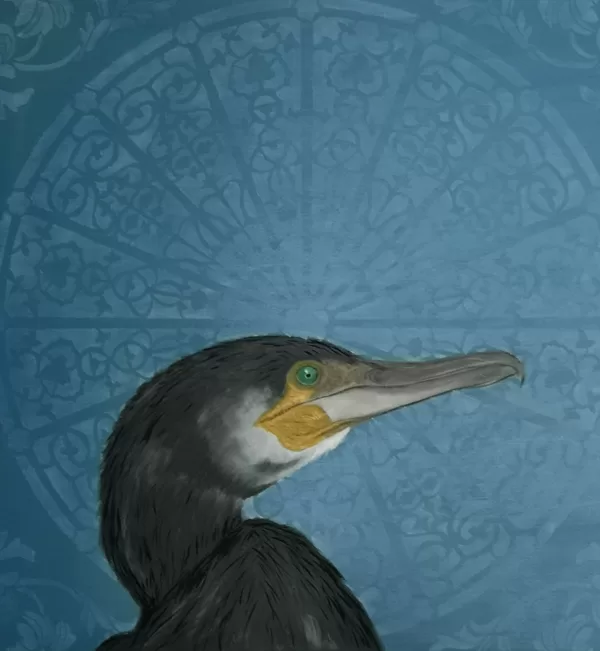 Kormoran