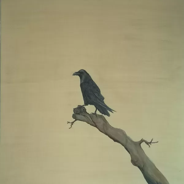 12 Rabe  100x100cm mit Rahmen   