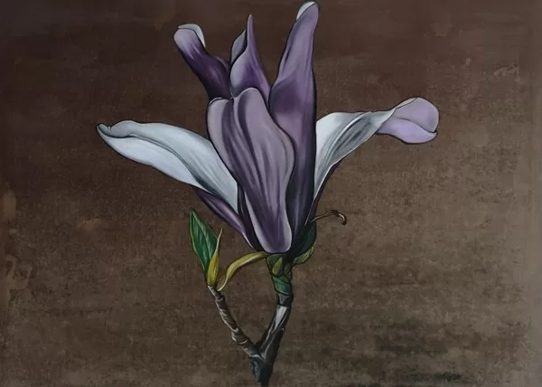 24 Magnolie  110x150cm   